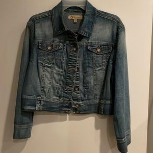 Democracy denim jacket, large